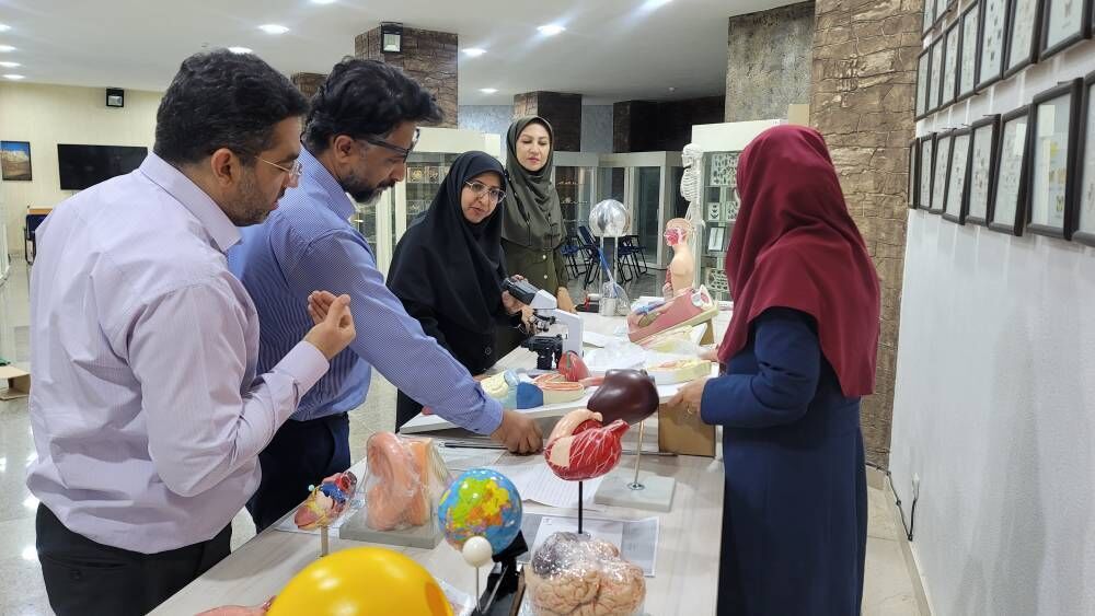 برگزاری گسترده دوره‌های «کافنا رشد»؛ هرمزگان در مسیر تربیت نسل آینده فناوری