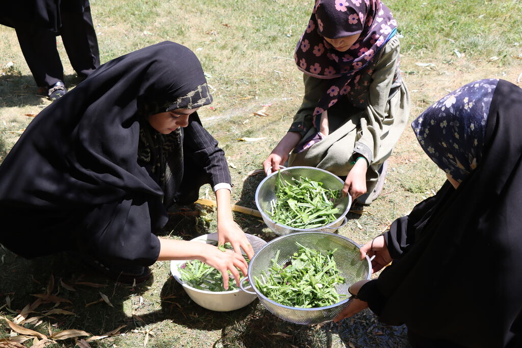 طعم خدمت نوجوانان به زائران اربعین در مرز تمرچین