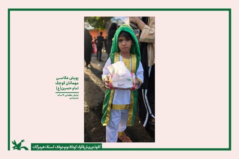 برگزاری نمایشگاه مجازی آثار منتخب پویش عکاسی "میهمانان کوچک امام حسین(ع)"