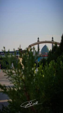 زیارت در قاب تصویر