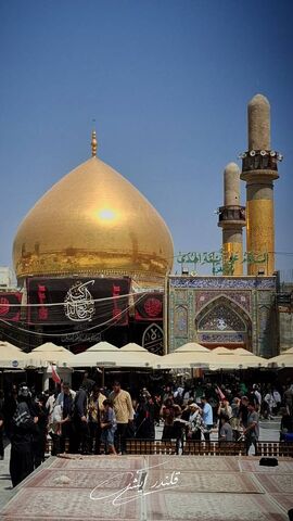 زیارت در قاب تصویر