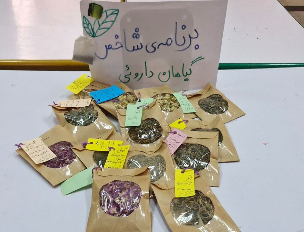 اجرای برنامه شاخص «گیاهان دارویی» در مرکز فرهنگی‌هنری تازه‌شهر