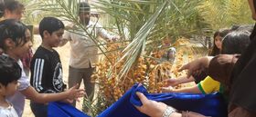 سقوطِ طلای شیرین بر دستان نسل نو؛ وقتی کودکان با هویت جنوب پیوند می‌خورند