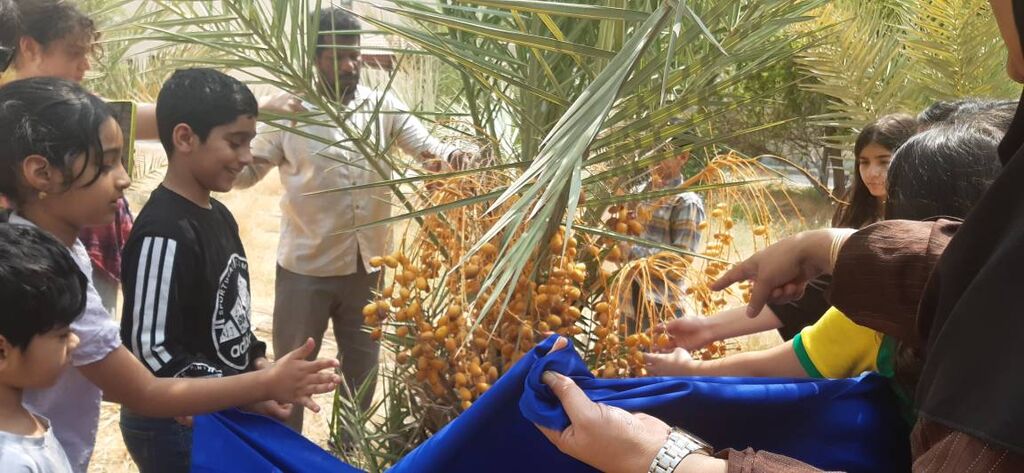 سقوطِ طلای شیرین بر دستان نسل نو سقوطِ طلای شیرین بر دستان نسل نو؛ وقتی کودکان با هویت جنوب پیوند میخورند