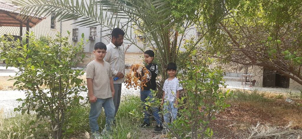 سقوطِ طلای شیرین بر دستان نسل نو؛ وقتی کودکان با هویت جنوب پیوند میخورند