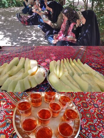 گزارش تصویری اردوی اعضای دختر مرکز فرهنگی کاشمر
