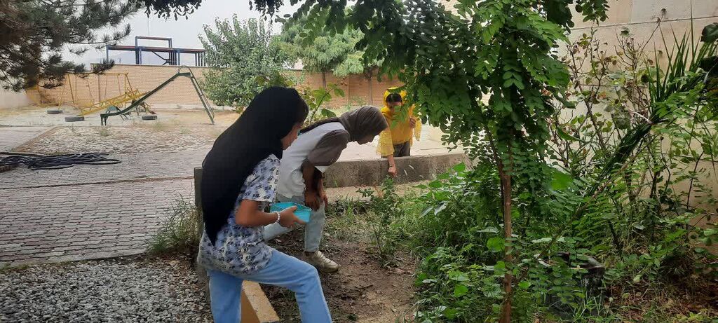 از مشاهده برگ‌ها تا شناخت رنگدانه سبز؛ تجربه‌ای خلاق در کانون اسدآباد