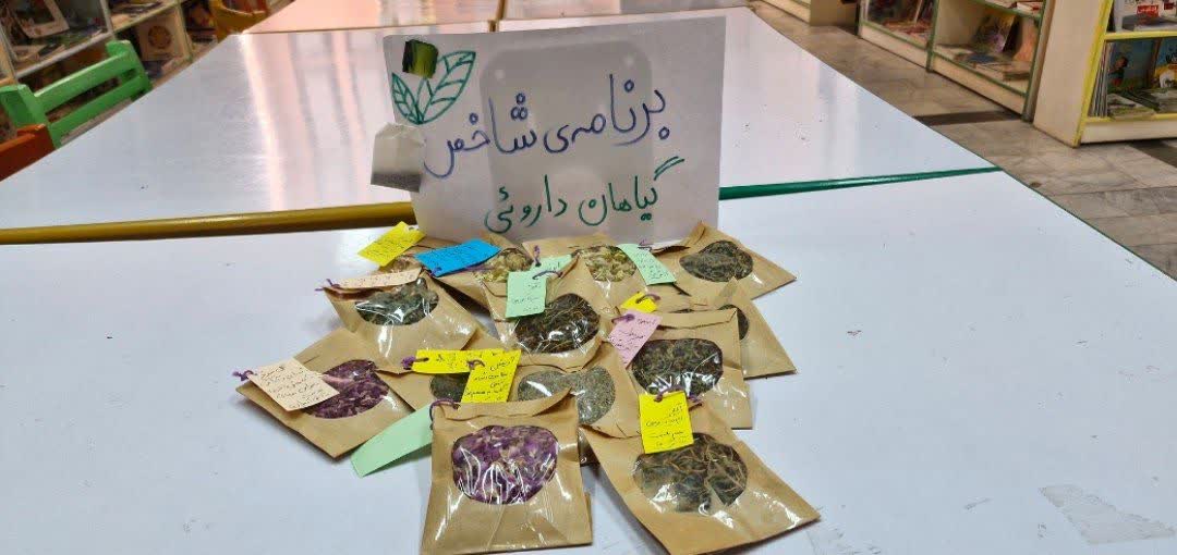 اجرای بسته فرهنگی «دمنوش مهربان» بر اساس آثار ترویجی کانون در مرکز تازه شهر