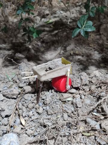 دوباره ببین دوباره بساز