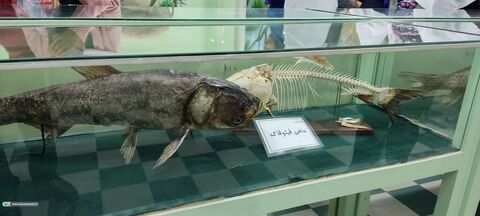 اردوی اعضای کانون سنندج در موزه تاریخ طبیعی کردستان برگزار شد