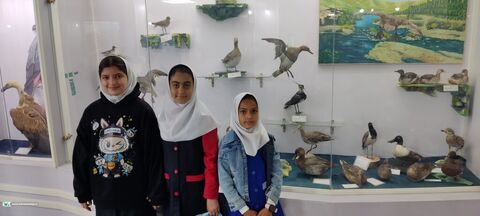 اردوی اعضای کانون سنندج در موزه تاریخ طبیعی کردستان برگزار شد