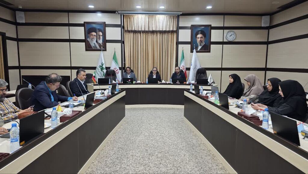 جلسه هماهنگی دستگاه‌های اجرایی استان با محوریت هفته ملی کودک برگزار شد