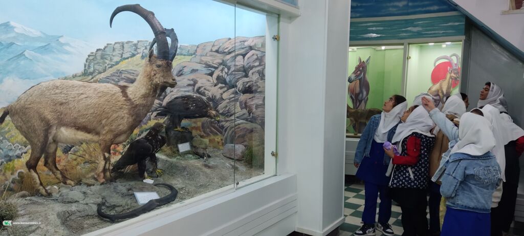 اردوی اعضای کانون سنندج در موزه تاریخ طبیعی کردستان برگزار شد