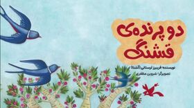 معرفی کتاب «دو پرنده‌ی قشنگ»