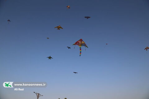 آلبوم تصویری جشن پرواز بادبادکها در ساحل نیلگون خلیج فارس بوشهر(1)