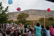 ۳۱ استان کشور میزبان برنامه‌های هفته ملی کودک شدند