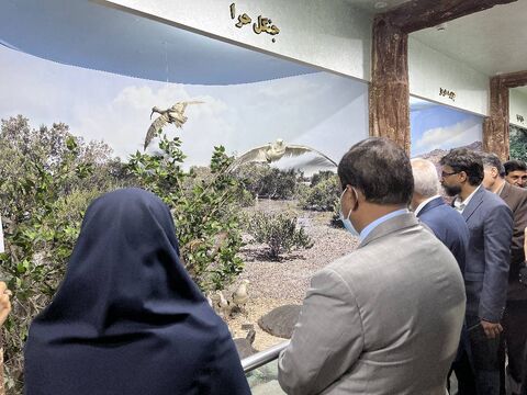 گزارش تصویری/بازدید معاون حقوق بشر و امور بین‌الملل وزارت دادگستری و دبیر مرجع ملی کنوانسیون حقوق کودکاز مراکز هرمزگان