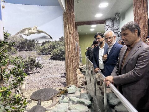 گزارش تصویری/بازدید معاون حقوق بشر و امور بین‌الملل وزارت دادگستری و دبیر مرجع ملی کنوانسیون حقوق کودکاز مراکز هرمزگان