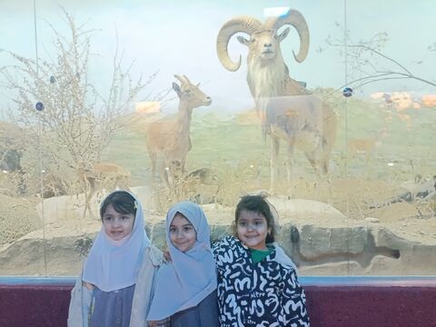 مهدکودک دارا و سارا قوچان