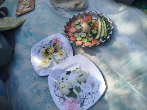 سیارروستایی بشرویه