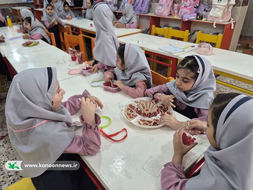 روز انار در مراکز فرهنگیهنری ریگ و اهرم